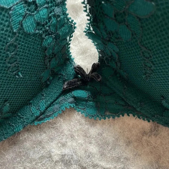 Victoria's Secret Dream Angels Lace Bra - Picture 16 of 16